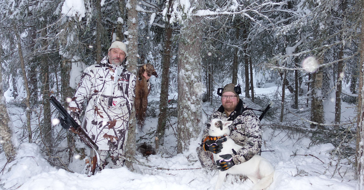 Mårdjakt med hund, del 2