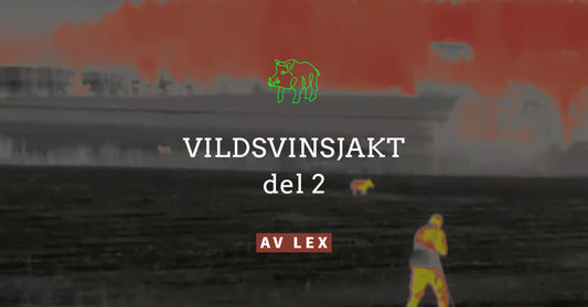 Vildsvinsjakt, del 2. Smyg -och vakjakt