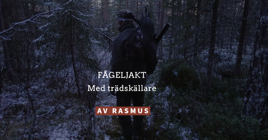 Fågeljakt med trädskällare