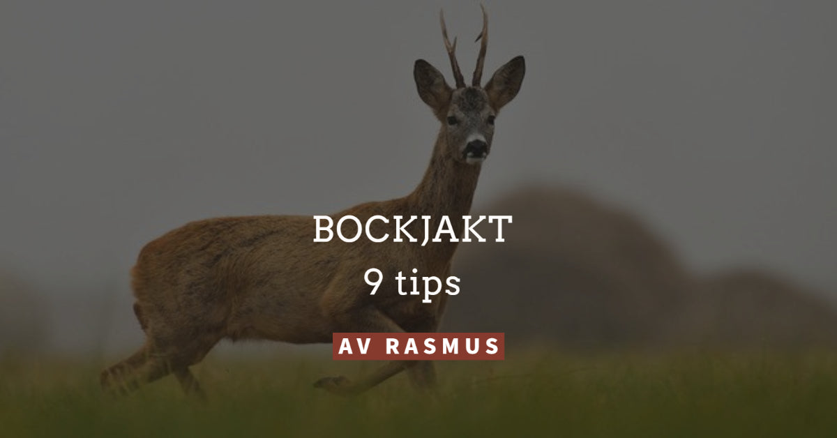 9 tips för att lyckas bättre med bockjakten