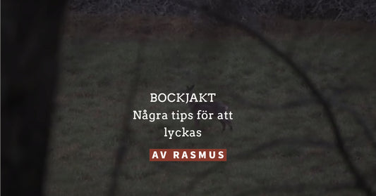 Bockjakt - några tips för att lyckas lite bättre