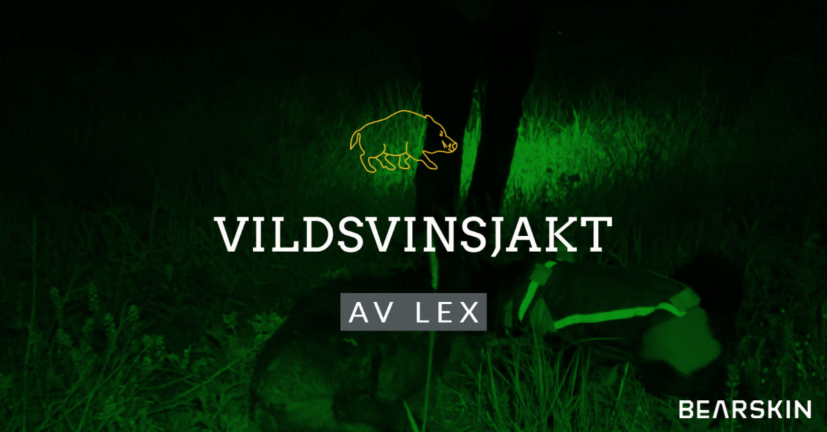 Vildsvinsjakt